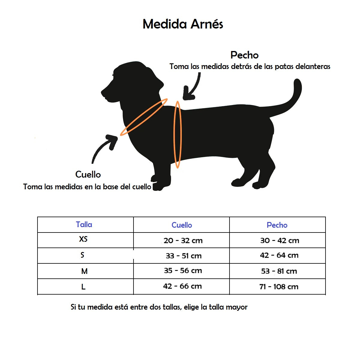 Kit Pechera + Correa Manos Libres