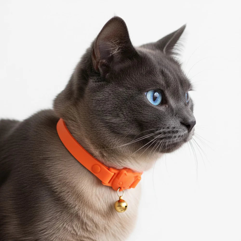 Collar Gatito