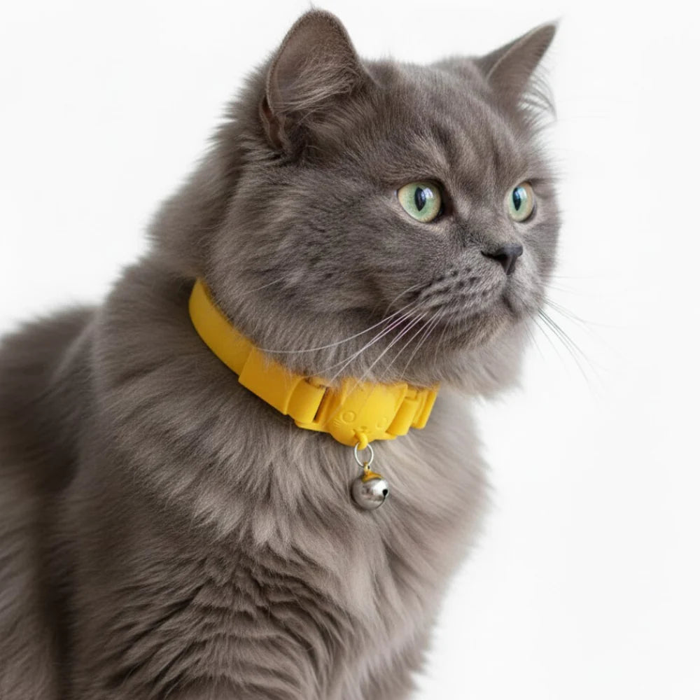 Collar Gatito