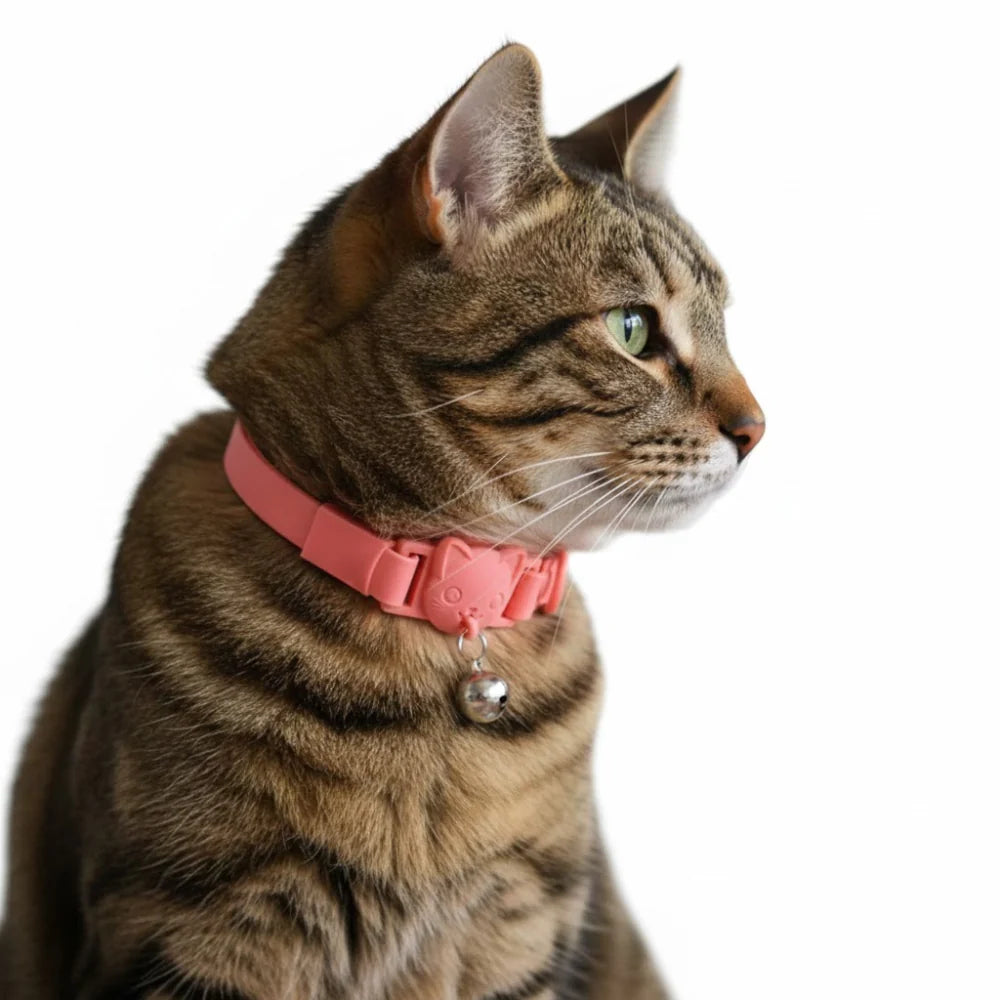 Collar Gatito