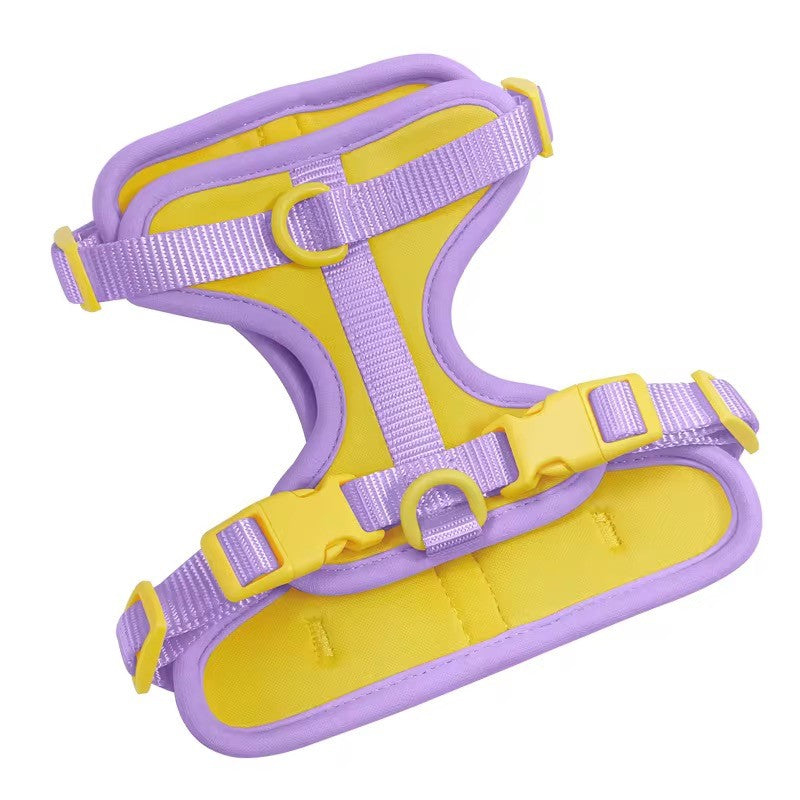 Pechera - Arnés para perros